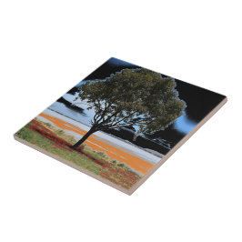 Carreau Lac Beeac Solo Tree Carrelage céramique