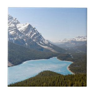 Carreau Lac Peyto - Parc national Banff, Alberta, Canada
