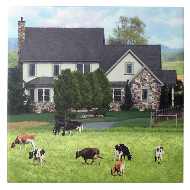 Carreau Lancaster PA - Ferme familiale avec vaches en pâtu (Devant)