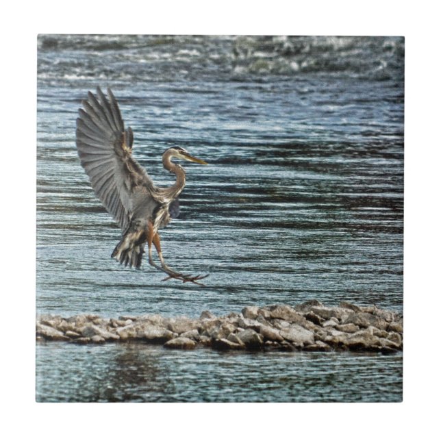 Carreau Landing Great Blue Heron Wildlife Birdlover Design (Devant)