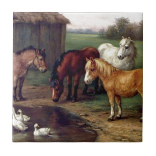 Carreau L'âne de poney penche la ferme