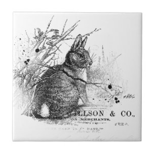 Carreau Lapin en brosse Vintage noir et blanc