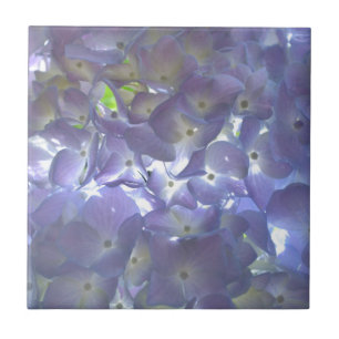 Carreau Lavender Hydrangeas