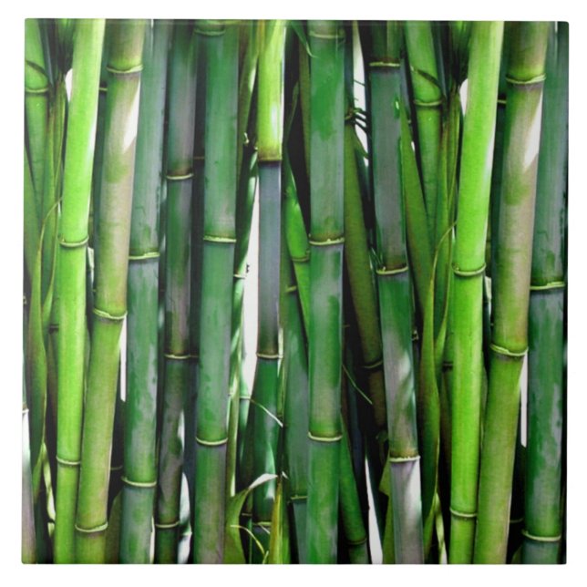 Carreau Le Bambou vert Stalks Photographie de la nature (Devant)