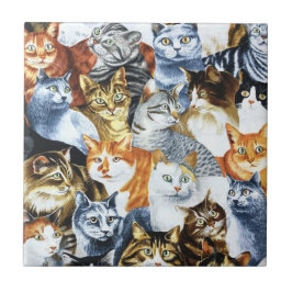 Carreau Le Clowder de CATS