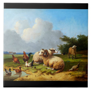 Carreau Le cru de pâturage de moutons penche la tuile de