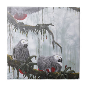 Carreau Le gris africain Parrots voler librement