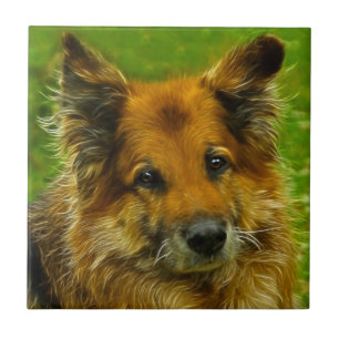 Carreau Le meilleur ami #2 de l'homme