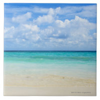 Le Mexique, Playa del Carmen, plage tropicale