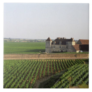Carreau Le monastère du XVIe siècle du Clos de Vougeot et