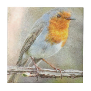 Carreau Le Robin Est Une Aquarelle Gabriel