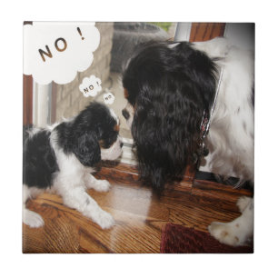 Carreau Le Roi cavalier Charles Dad Says No