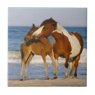 Carreau Le Sunset Beach Horse