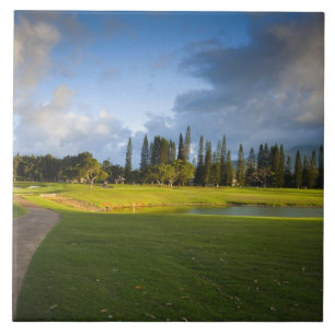 Carreau Le terrain de golf Makai à Princeville