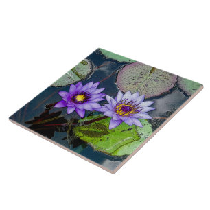 CARREAU L'EAU TROPICALE PURPLE EST INSTALLÉE DANS LES LILY