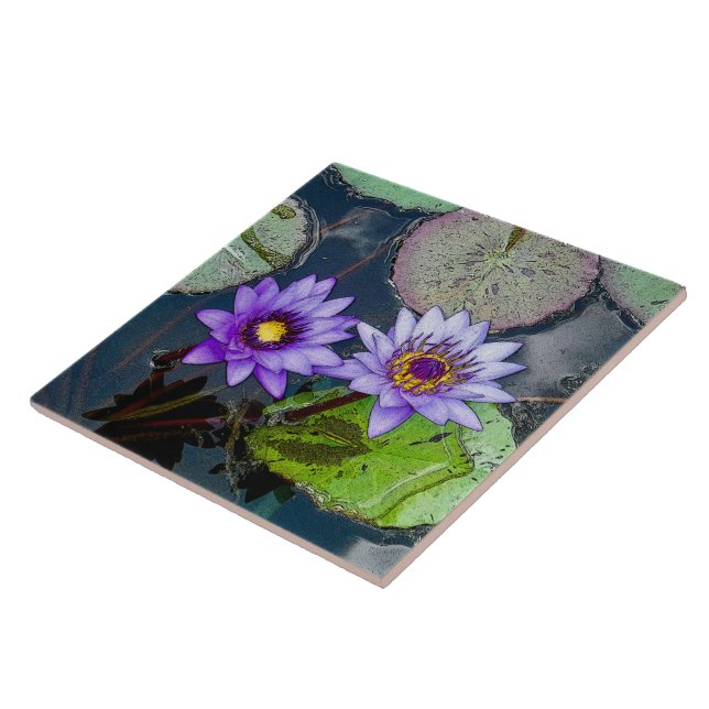 CARREAU L'EAU TROPICALE PURPLE EST INSTALLÉE DANS LES LILY (Côté)