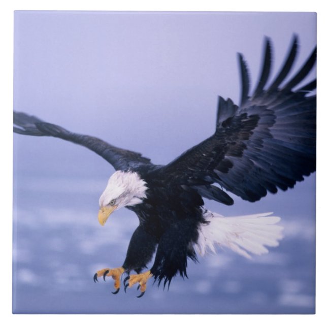 Carreau Les ailes d'atterrissage de l'aigle à tête blanche (Devant)