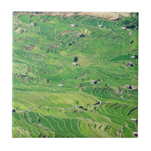 Carreau Les célèbres terrasses de riz yuanyang - Yunnan, C