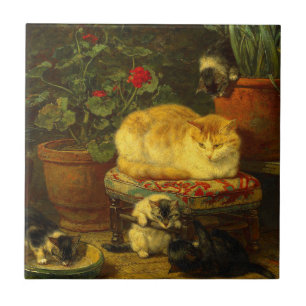 Carreau Les chatons en jeu