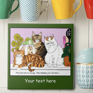 Carreau Les chats sont en charge