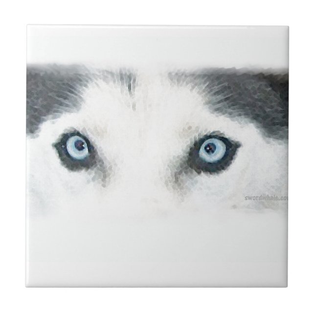 Carreau Les chiens observés par bleu peuvent voir le vent (Devant)