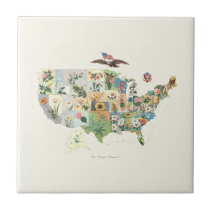 Carreau Les Etats-Unis fleurissent la carte - notre