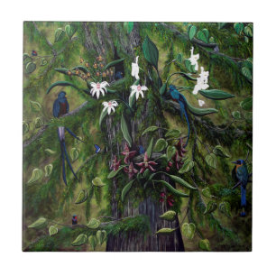 Carreau Les jungles de Tikal