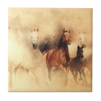 Carreau Les Mustangs des Chevaux Sauvages