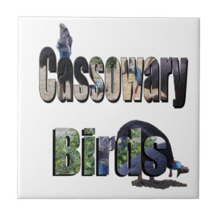 Carreau Les oiseaux Cassowary est le nom,