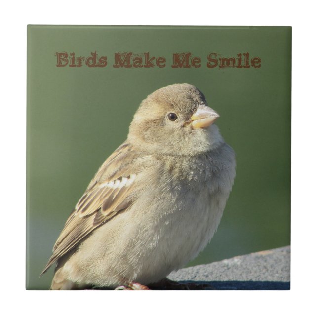 Carreau Les oiseaux me font sourire Petite Brown Bruine Ph (Devant)