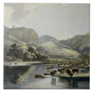 Carreau Les troupeaux de bison et d'élans sur le stimulan