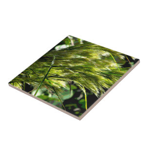 Carreau L'herbe de plage dans la brise