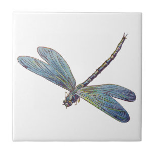 Carreau Libellule bleue vintage