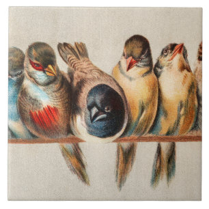 Carreau Ligne d'oiseaux et de colombes