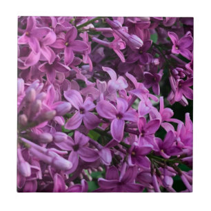 Carreau lilas rose violet   photo florale rose romantique