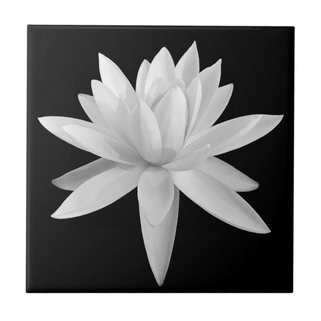 Carreau Lily Lotus Photographie d'art noir et blanc (Devant)