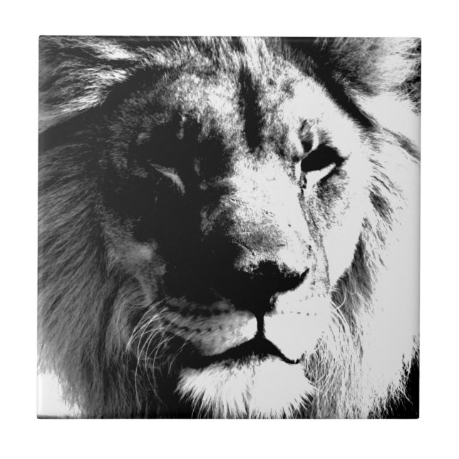 Carreau Lion noir et blanc - Art de la photographie animal (Devant)