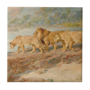 Carreau Lions sur la rive d'un fleuve africain