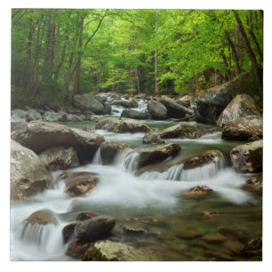 Carreau Little Pigeon River à Greenbrier