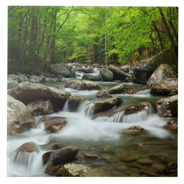 Carreau Little Pigeon River à Greenbrier (Devant)