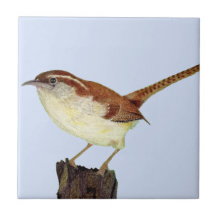 Carreau Little Wren