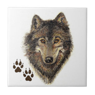 Carreau Loup, Loups, Nature, Faune, Aquarelle Animal