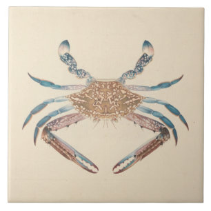 Carreau Luigi Balugani - Portunua Pelagicus - Crabe bleu