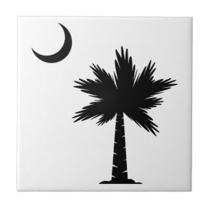 Carreau Lune de Palmetto