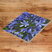 Lys bleu du Nil Agapanthus Floral