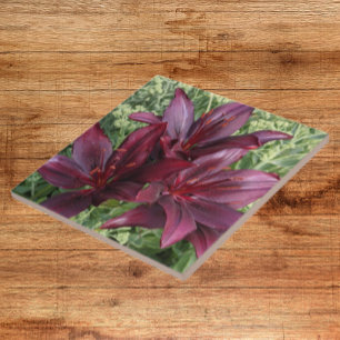 Carreau Lys d'Asie rouge foncé Floral