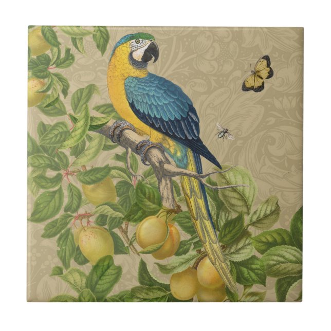 Carreau Macaw Blue Jaune Tropical Jungle Antique (Devant)