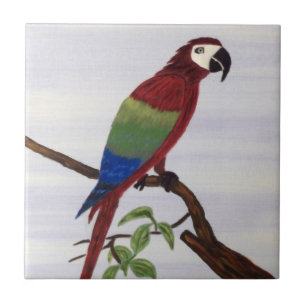 Carreau Macaw Parrot