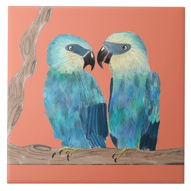 Carreau Macaws de Spix sur un carrelage en céramique - (O) (Devant)