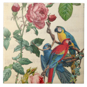 Carreau Macaws vintages Et Roses